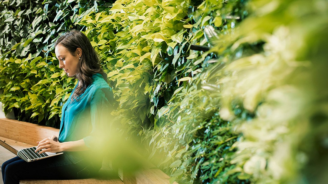 person working on a laptop while sitting on a bench in a green environment