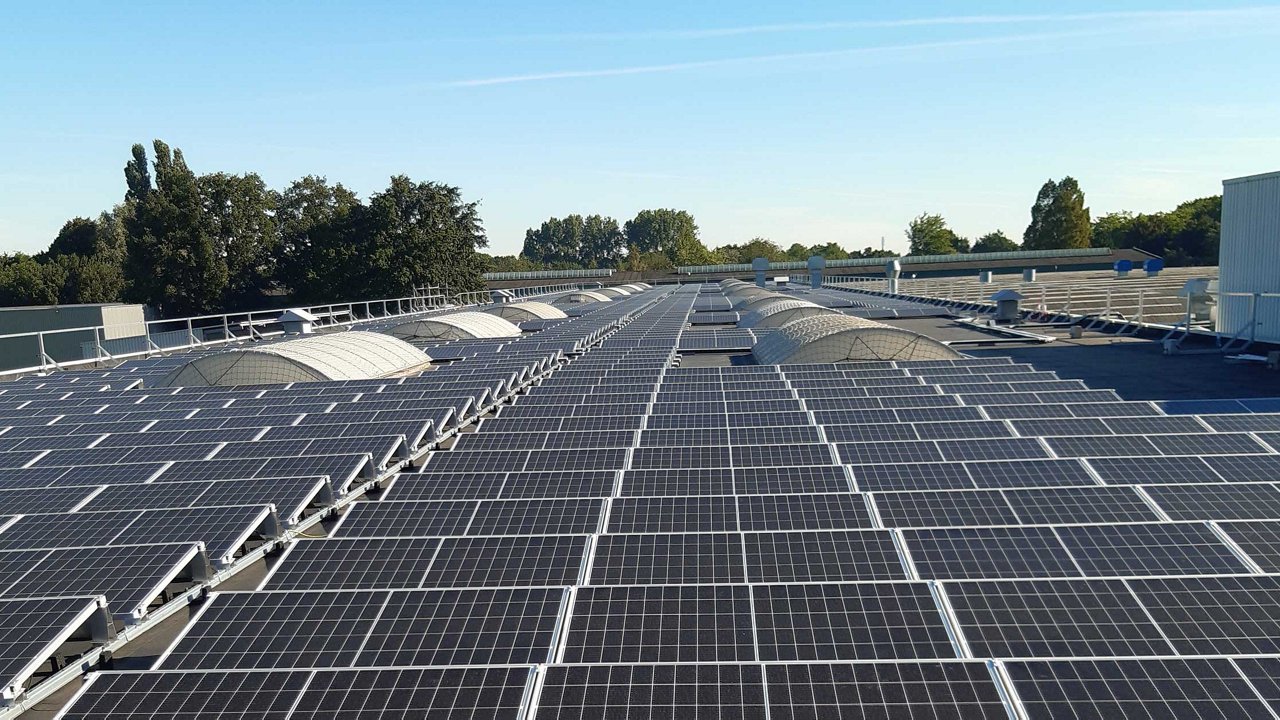 Rooftop filled with an array of solar panels under a clear blue sky. Sparse clouds in the distance and surrounded by green trees